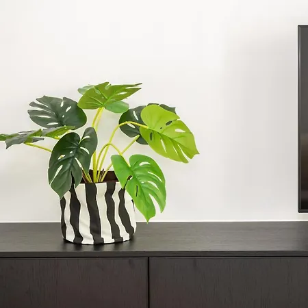 Apartmán Cosy Seaside Ostende